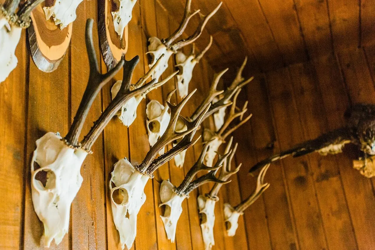 Loka Lodge At Raduha Ljubljana Slovenya